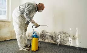 Best Forensic Mold Investigation  in Ocean Pines, MD