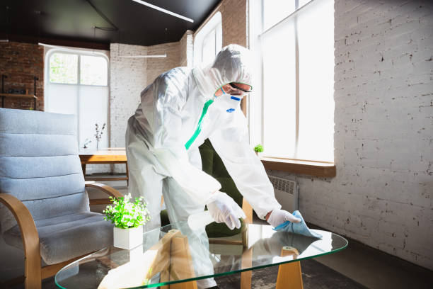 Best Biohazard Mold Removal  in Ocean Pines, MD