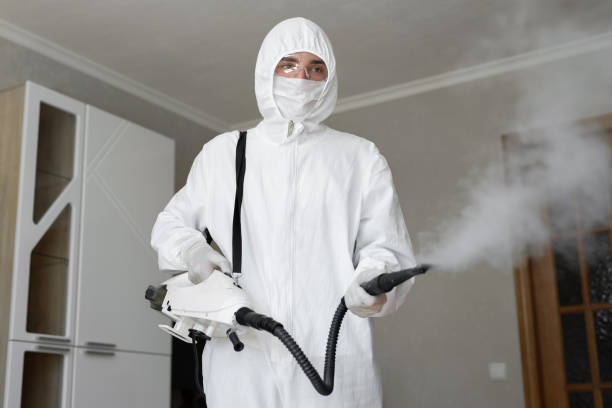 Best Comprehensive Air Testing for Mold Contaminants  in Ocean Pines, MD